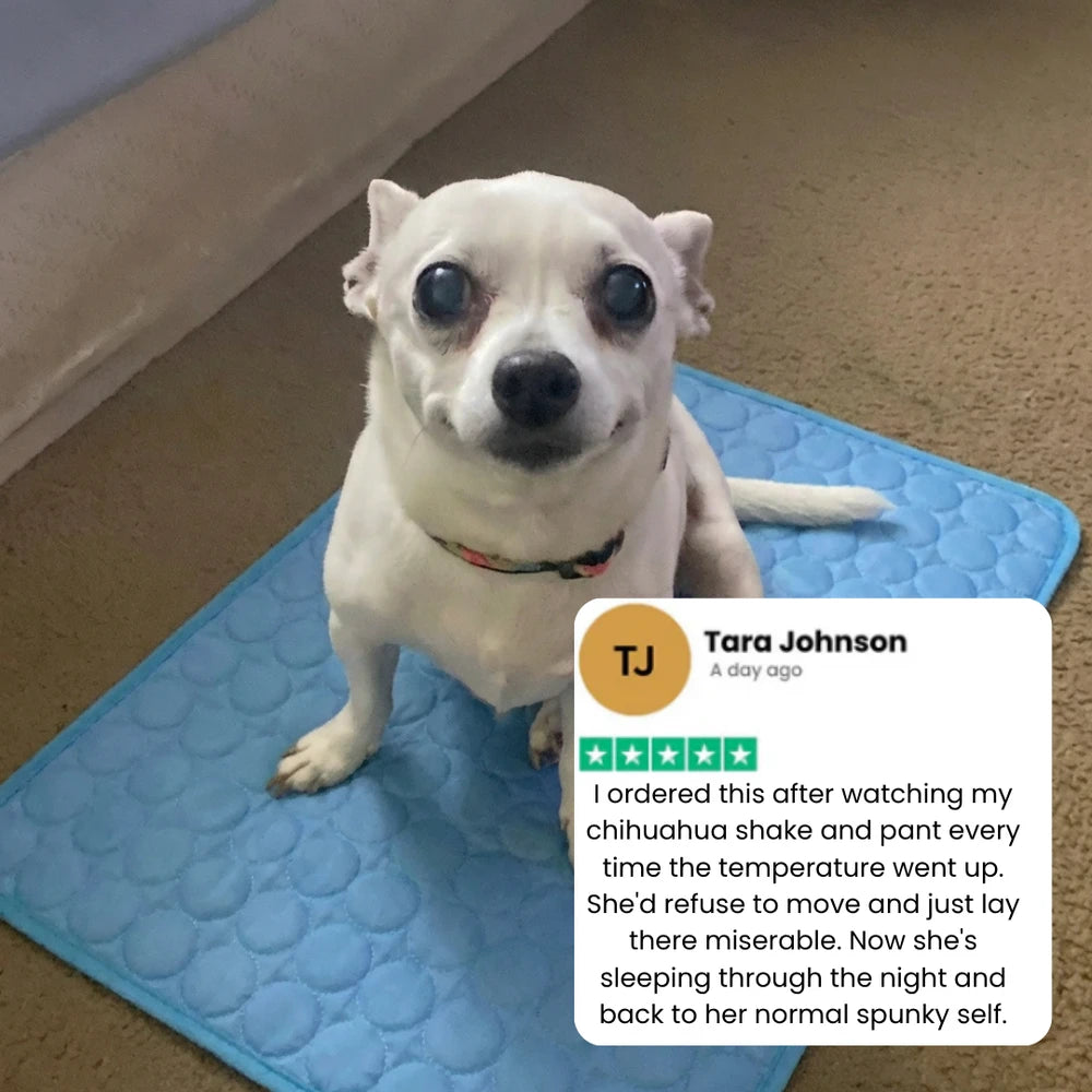 CoolBreath Cooling Mat