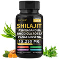 Biyode Effective Formula Ready Stock Fast Shipping Wholesale Pure Natural Himalayan Shilajit Capsules  With Ashwagandha Ginseng Healthcare Vitamin 8 In 1 Energy Supplement