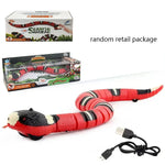 Interactive Electric Snake Cat Toy