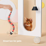 Interactive Electric Snake Cat Toy