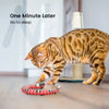 Interactive Electric Snake Cat Toy