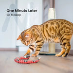 Interactive Electric Snake Cat Toy
