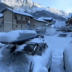 FrostForce™ Snow Blower Pro