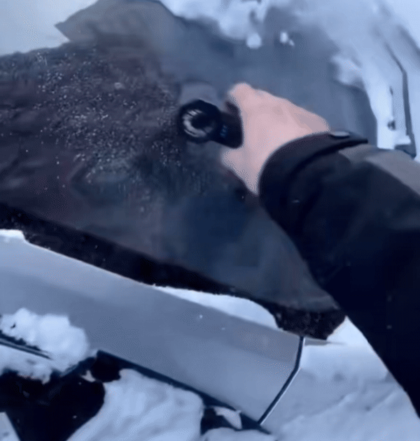 FrostForce™ Snow Blower Pro